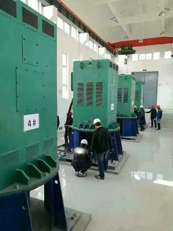 乌伊岭某污水处理厂使用我厂的立式高压电机安装现场